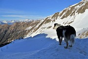 65  Dal Passo di Salmurano (2017 m) Nika in attenta osservazione